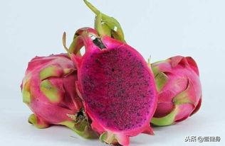 小火龙果爆料视频下载,带你一探究竟 第1张 小火龙果爆料视频下载,带你一探究竟 第1张